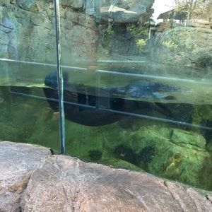 Meet your Posher, Monica